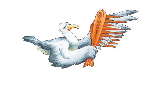 信天翁图片下载