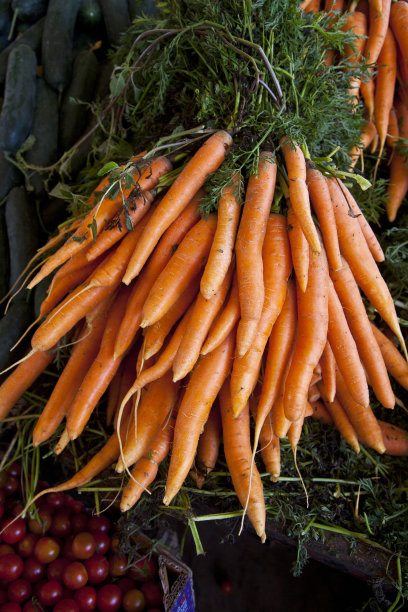 新鲜有机胡萝卜图片下载