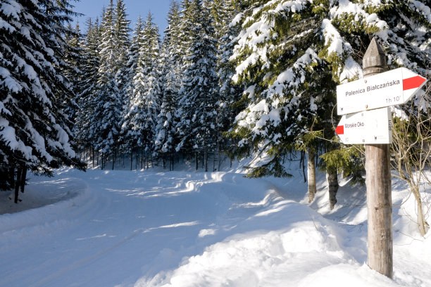 路标，旅游路线，方向图片下载