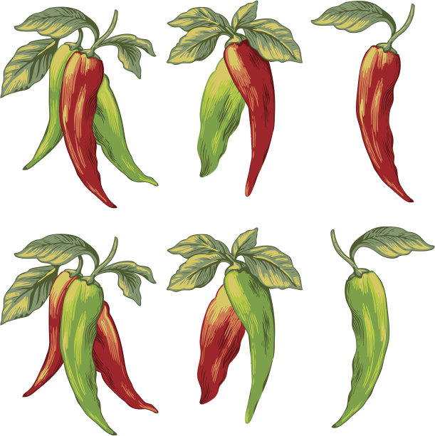 红辣椒图片下载