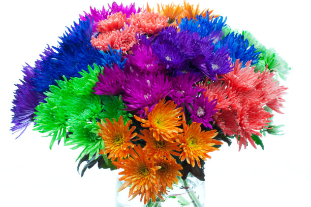 束鲜花图片下载