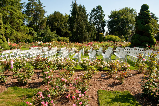 公园里的椅子图片下载