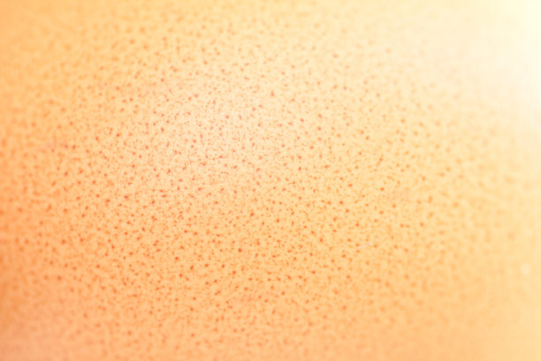 蛋的纹理图片下载