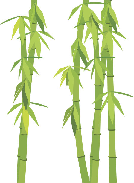 绿色的竹子素材图片