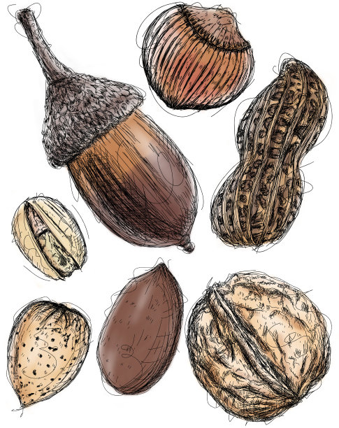 多个螺母草图图片下载