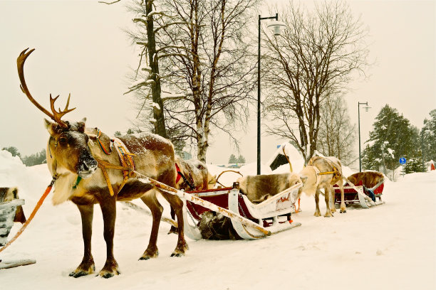 X'mas 太阳氨酸图片下载