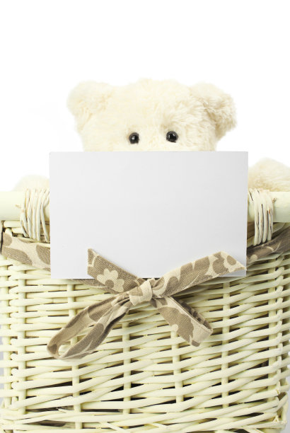 泰迪熊图片下载