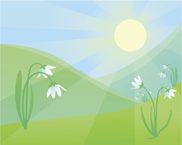 阳光照耀的草地上的雪花莲图片下载