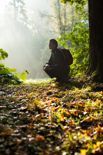 黎明时分，人们坐在秋天的森林里图片下载