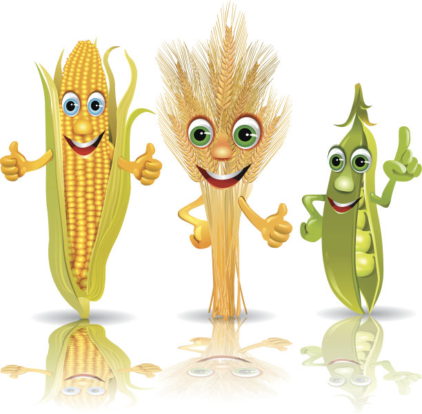 有趣的蔬菜，玉米，玉米穗，豌豆素材图片