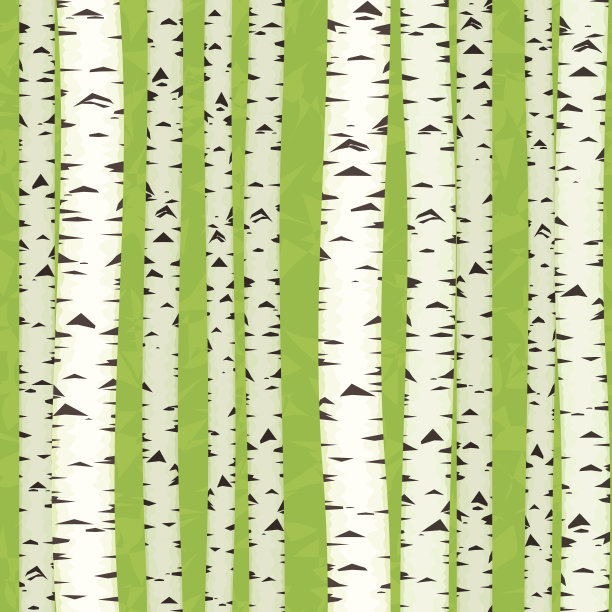 白桦茎无缝的,图片下载