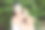 漂亮的女孩拿着一个红苹果图片下载