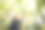 在森林里举起双手的年轻女子图片下载
