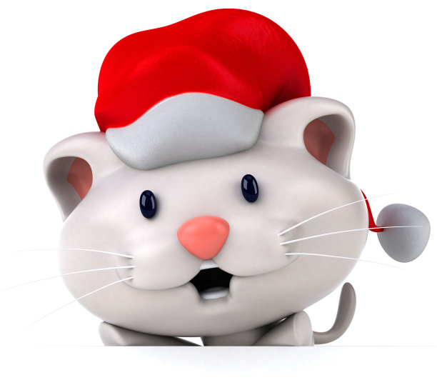 有趣的猫图片下载