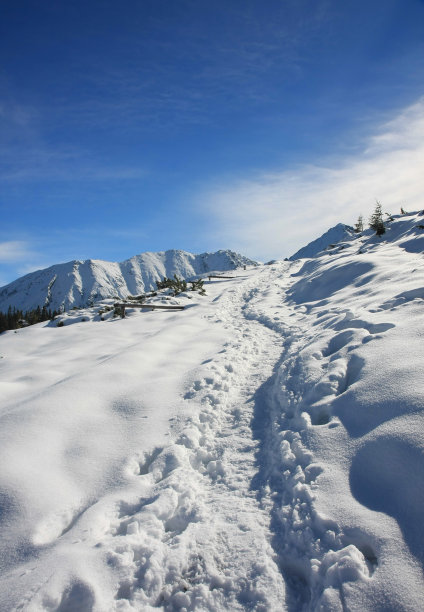 冬天在太特拉山图片下载