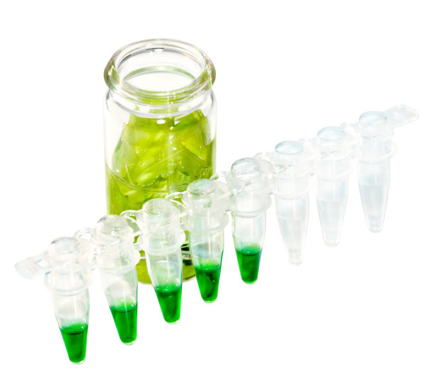 化验蔬菜样本图片下载