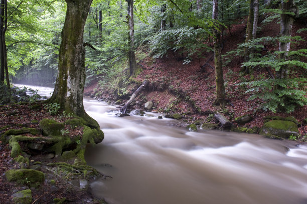 山河上的早晨图片下载