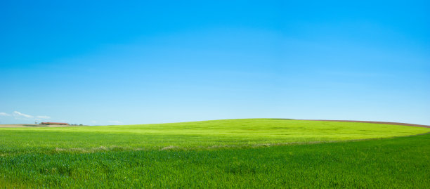 绿色和蓝色图片下载