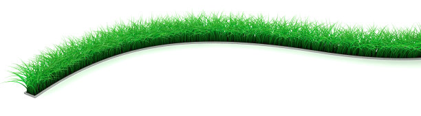 草坪线图片下载