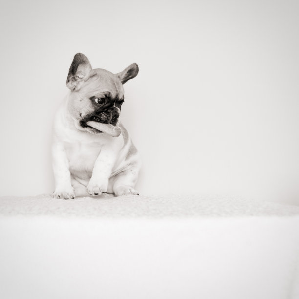 我只吃不分享图片下载