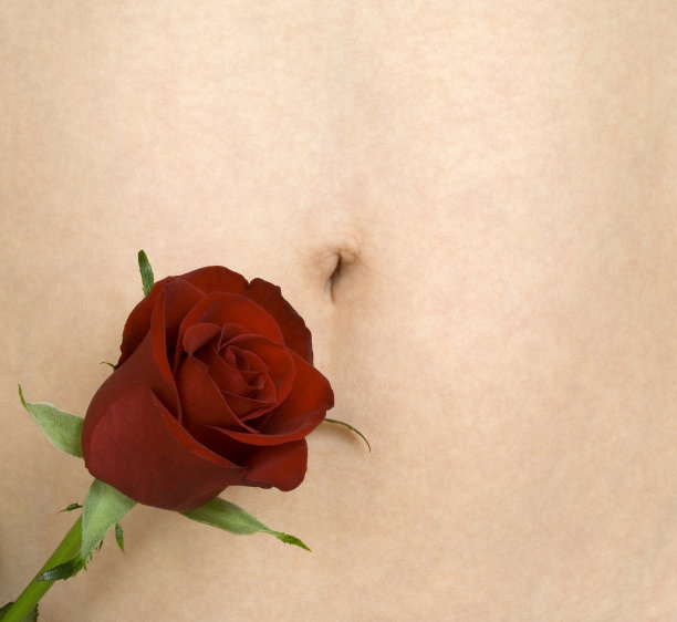 肚脐和玫瑰图片下载