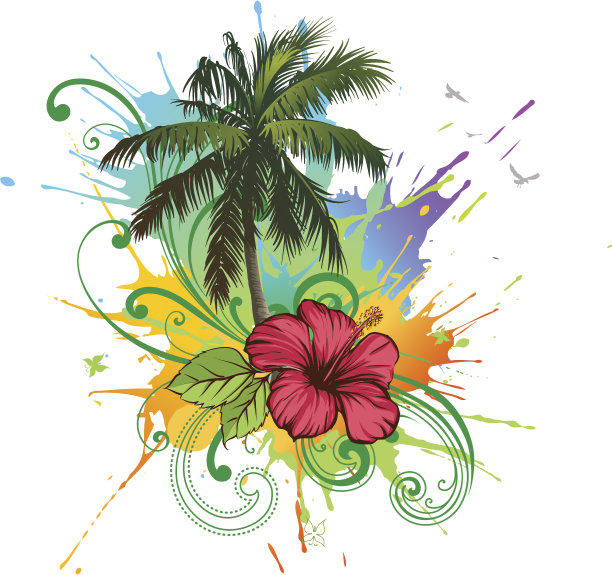 棕榈树和木槿图片下载