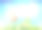 阳光明媚的日子背景与鲜花素材图片