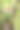 苹果树上的男孩图片下载