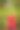 快乐的秋天女人在森林里玩秋天的树叶图片下载