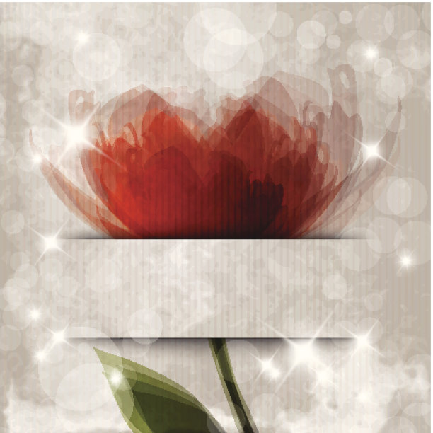 橘色花图片下载