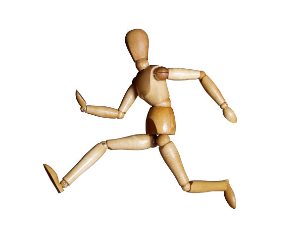 人体模型运行图片下载