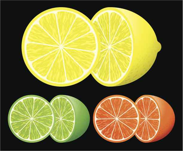 柑橘类水果套装图片下载