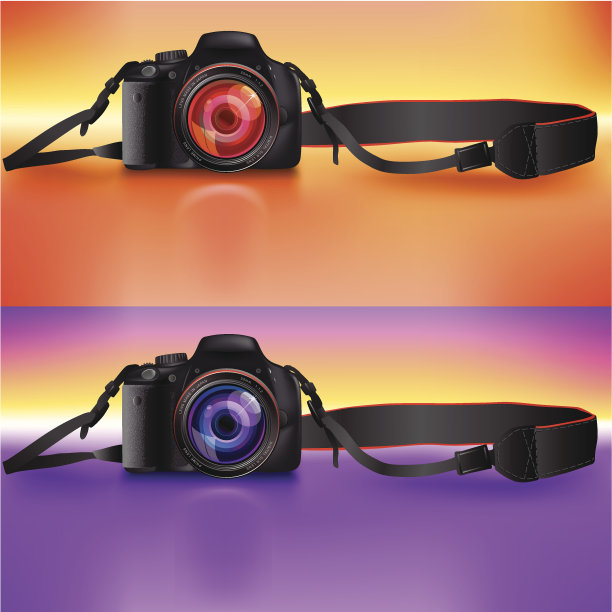 两台普通数码单反相机图片下载