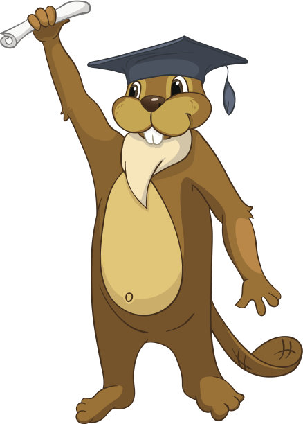 有趣的海狸图片下载