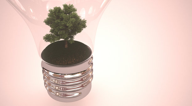 灯泡里的树图片下载