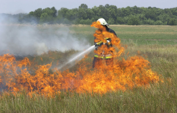 草地着火图片下载
