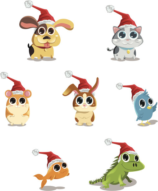 可爱的动物戴着圣诞老人的帽子图片下载