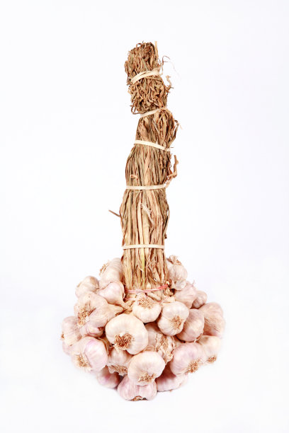 大蒜。图片下载