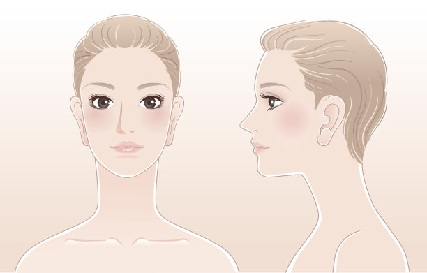 一套美丽的女人肖像，正面和侧面的观点图片下载