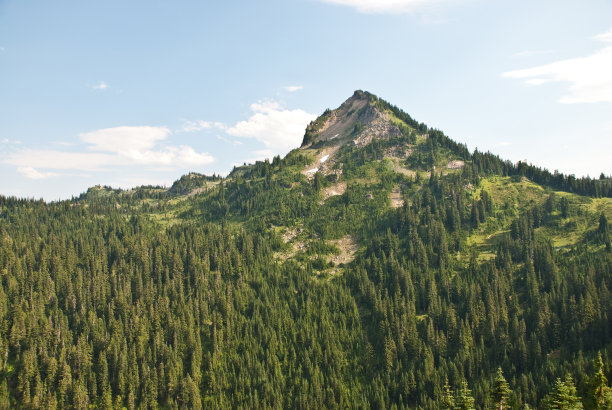 被森林覆盖的山峰图片下载