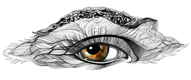 抽象的眼睛图片下载