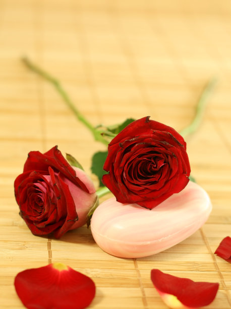 Soap与玫瑰。图片下载
