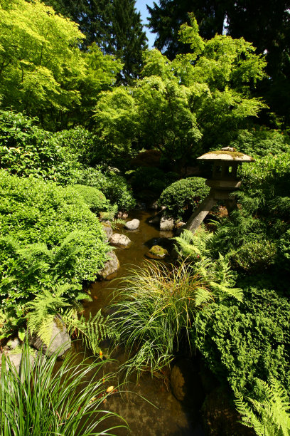 日式花园图片下载