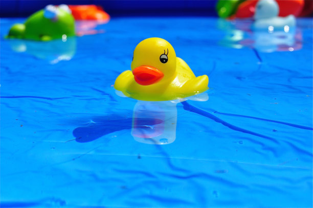 漂浮的塑料鸭子在嬉水池里图片下载