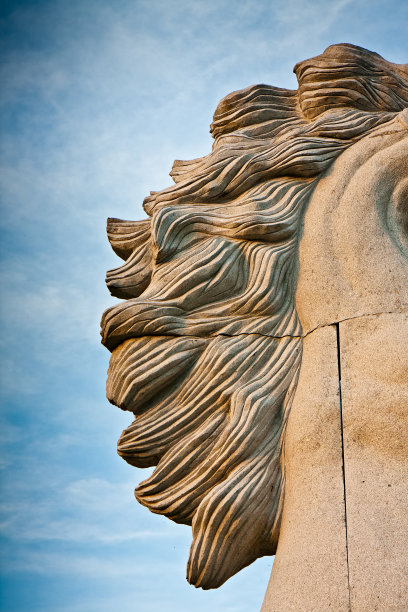 Pietra马匹图片下载