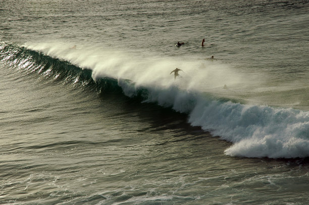 拜伦湾的冲浪者图片下载