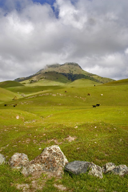 牛萨特山丘图片下载