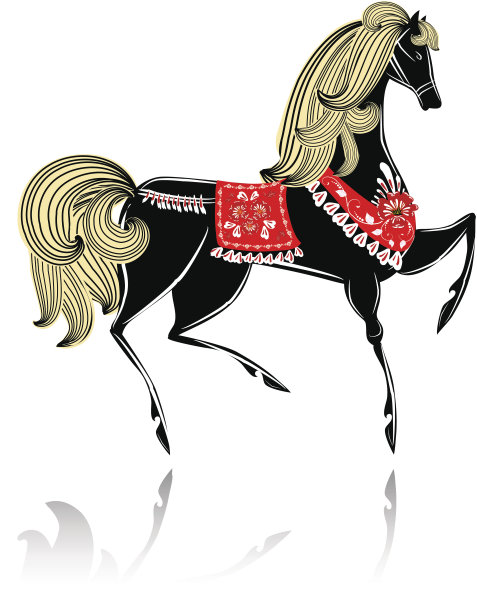 装饰漂亮的马科科洛马图片下载