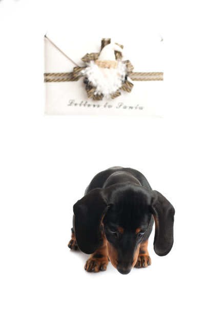 等待圣诞老人图片下载