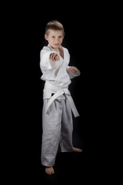 空手道的男孩图片下载